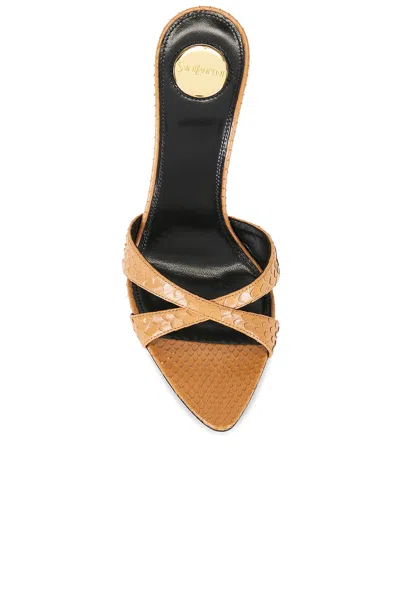 Saint Laurent Gippy Python Mule Sandal In Pitty Brandy