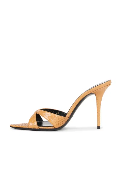 Saint Laurent Gippy Python Mule Sandal In Pitty Brandy