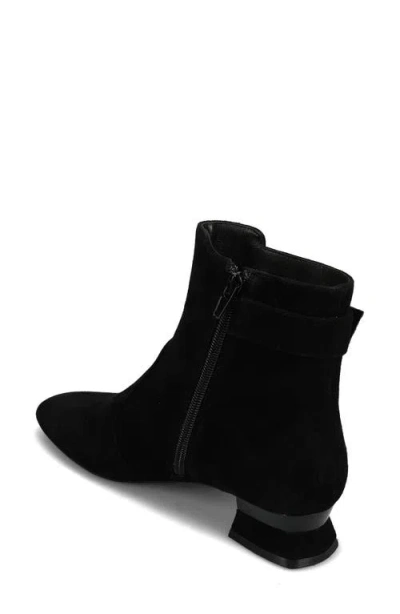 Vaneli Pierot Bootie In Black Suede