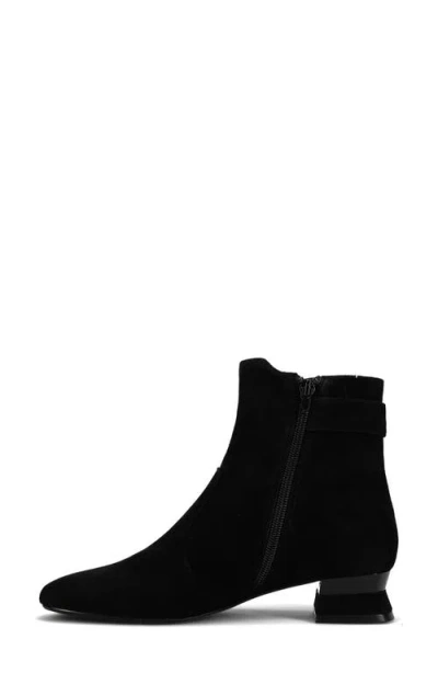 Vaneli Pierot Bootie In Black Suede