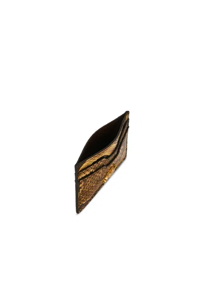 Amiri Python Card Holder In Brown