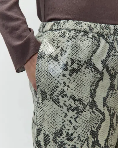 Alysi Python-print Leather Trousers In Brown