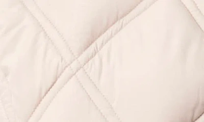 Bernardo Glam Quilted Insulated Puffer Jacket In Eggshell