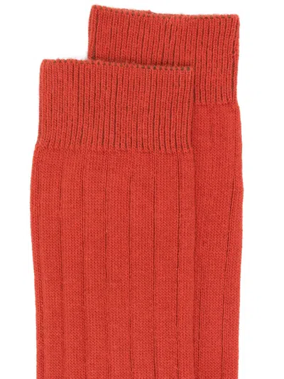 Sebago Sabattus Solid Color Socks  In