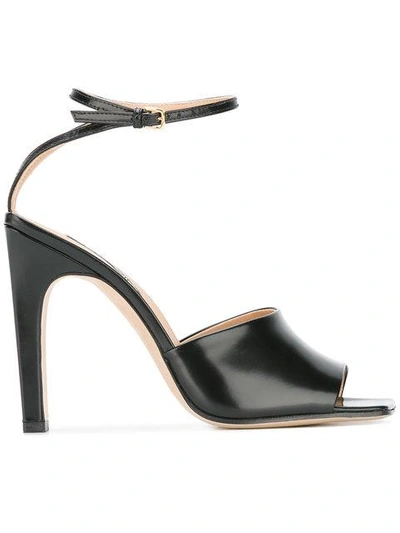 Shop Sergio Rossi Ankle Strap Sandals