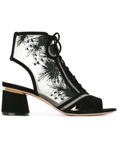 Shop Nicholas Kirkwood 55mm 'phoenix' Lace-up Booties