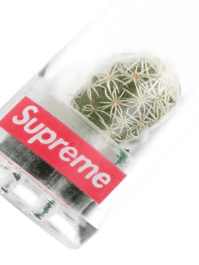 Supreme Cactus-pendant Keychain In Multi