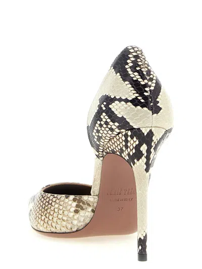 Paris Texas Python-print Pump In Multi