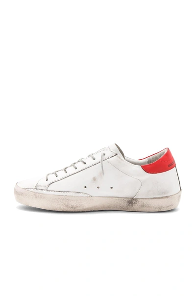 Shop Golden Goose Superstar In White Leather & Red