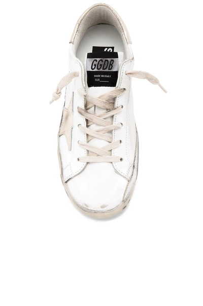 Shop Golden Goose Superstar Sneaker In Sparkle White & Gold Star