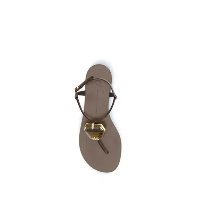 Giuseppe Zanotti Sandals In Multi