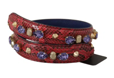 Dolce & Gabbana Red Exotic Leather Crystals Bag Sh In Purple