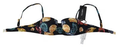 Dolce & Gabbana Seashells Print Bikini Top In Multi