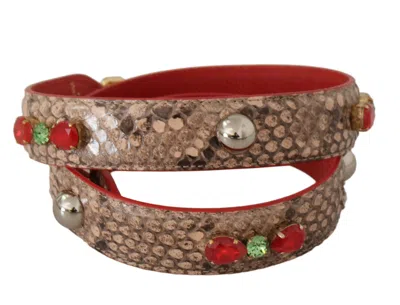 Dolce & Gabbana Shoulder Strap In Multi
