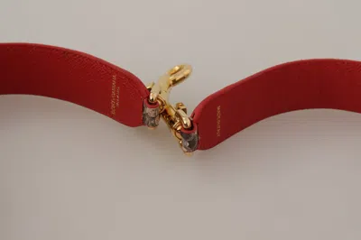 Dolce & Gabbana Shoulder Strap In Multi