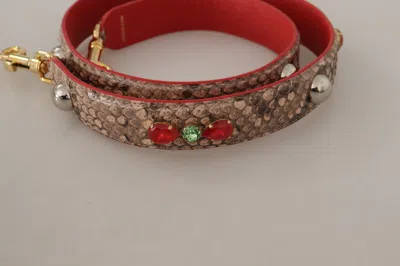 Dolce & Gabbana Shoulder Strap In Multi
