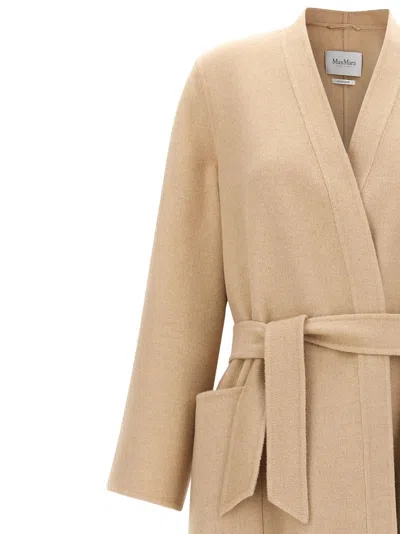 Max Mara Coat In Brown