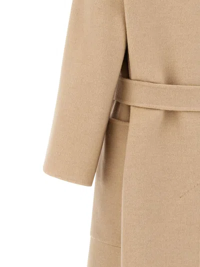 Max Mara Coat In Brown