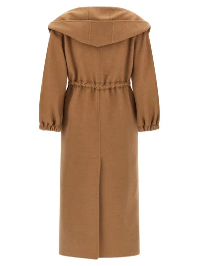 Max Mara Camel Wool Coat In Brown