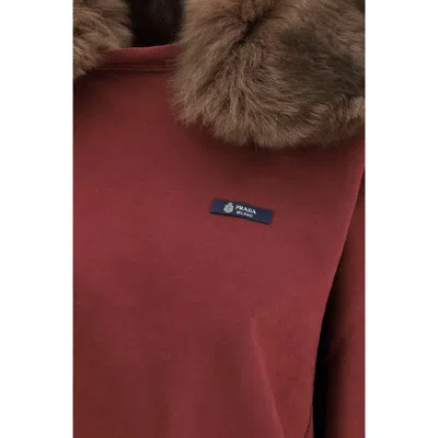 Prada Sweatshirt With A Shearling Collar In Burgundy