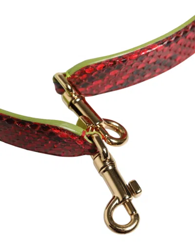 Dolce & Gabbana Python And Calf Leather Shoulder Strap In Multi