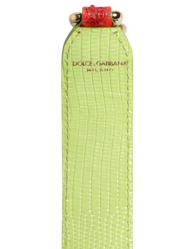 Dolce & Gabbana Python And Calf Leather Shoulder Strap In Multi