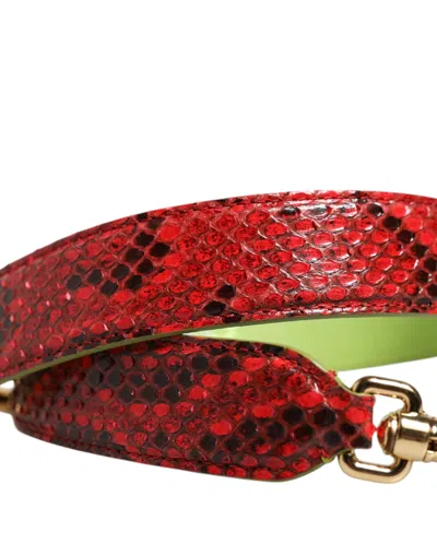 Dolce & Gabbana Python And Calf Leather Shoulder Strap In Multi