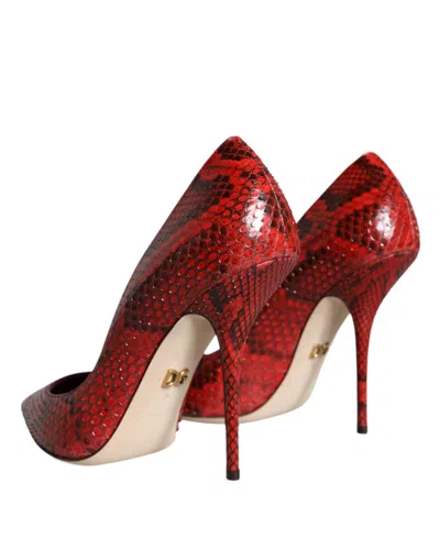Dolce & Gabbana Python Leather Heel In Red