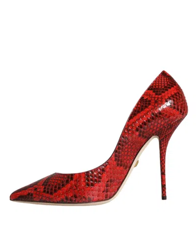 Dolce & Gabbana Python Leather Heel In Red