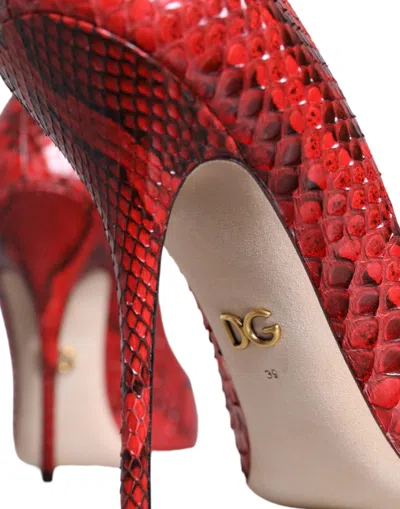 Dolce & Gabbana Python Leather Heel In Red