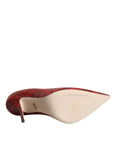Dolce & Gabbana Python Leather Heel In Red