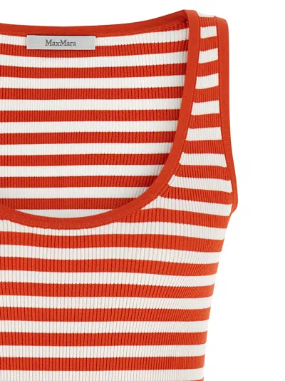Max Mara Coral Striped Rib Tank Top In Red