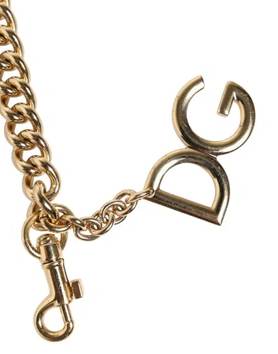 Dolce & Gabbana Leather Chain Shoulder Strap Shoulder Strap In Brown