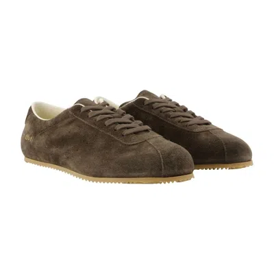 Common Projects Suede Driving Sneaker In Brown