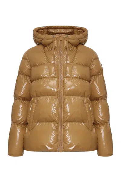 Pinko Eleodoro Jacket In Brown