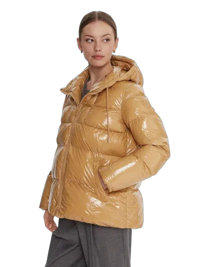 Pinko Eleodoro Jacket In Brown