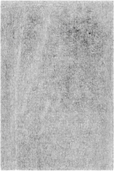 Max Mara Black Slim Flat Front Pants In Black