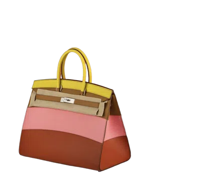 Hermes Hermès Birkin Top Handle Bag In Multicolor