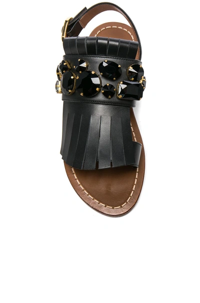 Shop Marni Jewel Leather Sandals In Black
