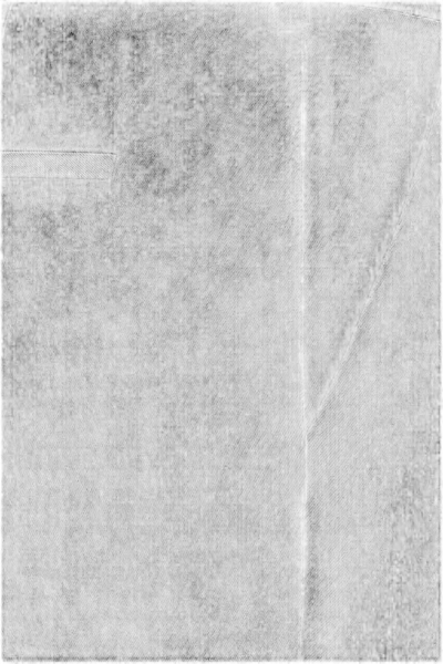 Balenciaga Wool Elastane Trousers In Black