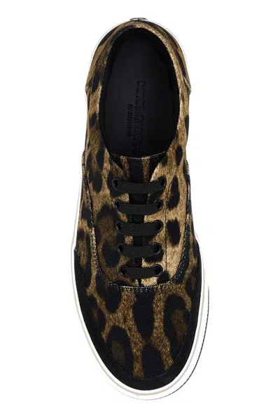 Dolce & Gabbana Leonew Sneaker In Multi