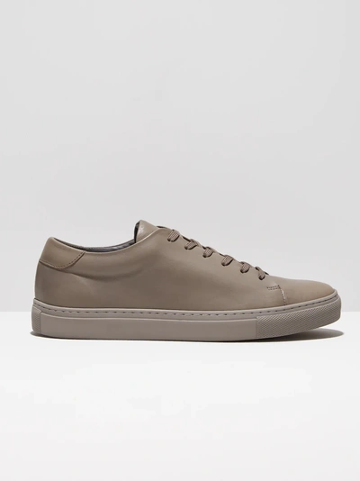 Shop Frank + Oak Park Leather Low-top Sneakers In Grey