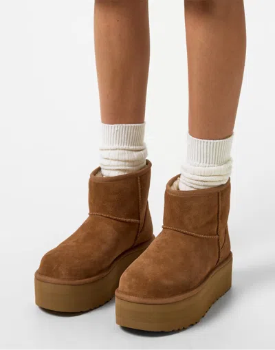 Ugg Platform Ankle Boots In Brown