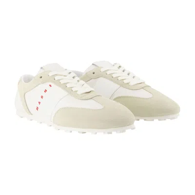 Marni Lily White Light Grey Leather Sneakers In White