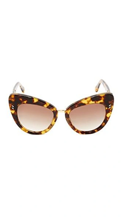 Shop Stella Mccartney Cat Eye Sunglasses In Havana/brown