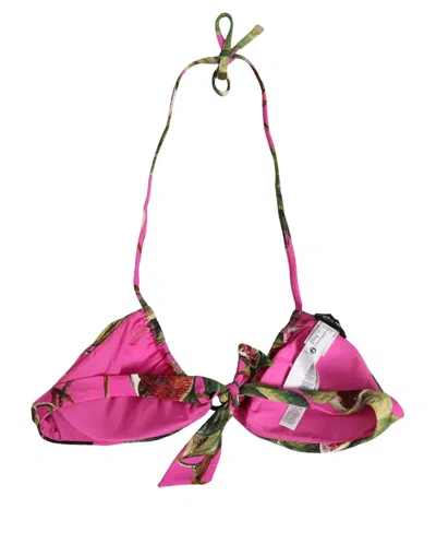 Dolce & Gabbana Fig Print Padded Triangle Bikini Top In Multi