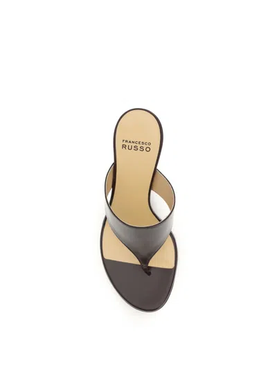 Francesco Russo Stiletto Heel Thong Thong Sandal In Brown