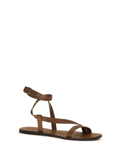 Manebi Canyon Sandals In Tan Gladiator
