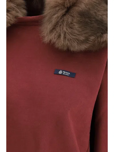 Prada Sweatshirt With A Shearling Collar In Burgundy