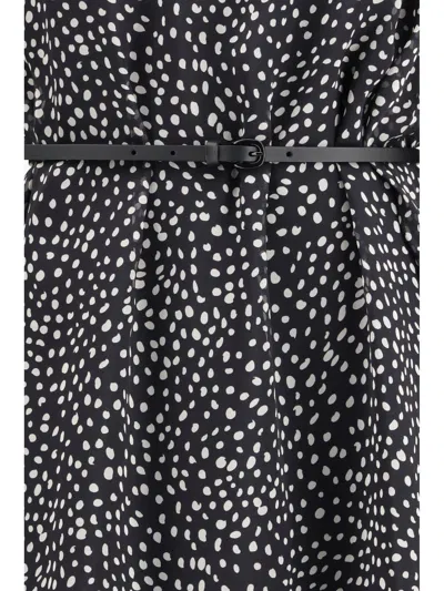 Max Mara Studio Campo Dress In Black